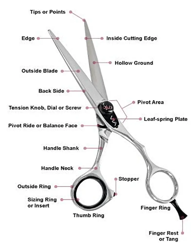 The Terminology of Scissors