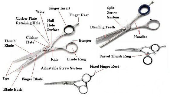 shears terminology